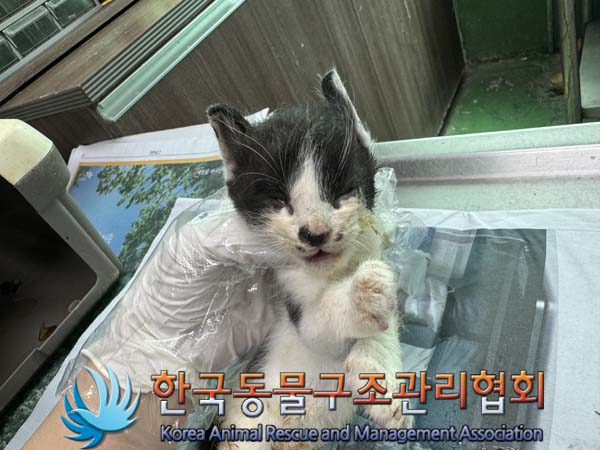 종료(자연사) 한국…